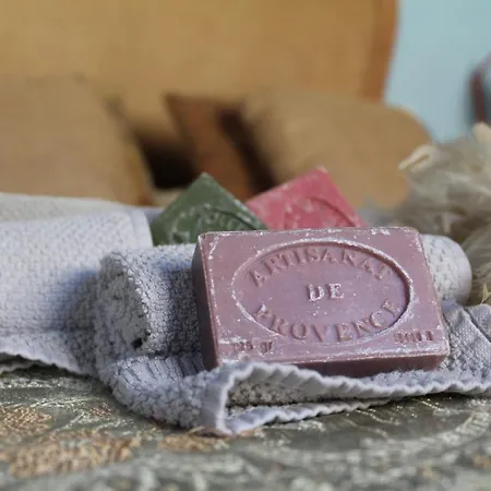 Casa Tosca Retreat Bed & Breakfast Prato (Prato)